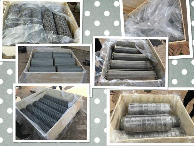 SUS316L Paslanmaz Çelik Konveyör Konveyör Bant İmalatı Hasır Tel 6