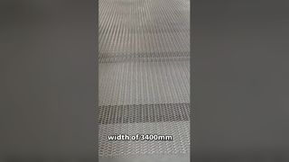 Endüstriyel Konveyörler için Özel Paslanmaz Çelik Hasır Bant